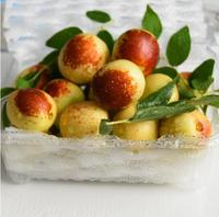 Verse Winter Jujube Leverancier