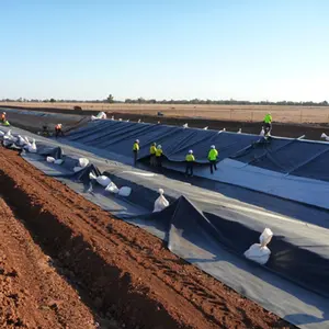 Geomembrana HDPE para granja de peces, estanque de gambas, represa, vertedor, mina, illustrador de cola