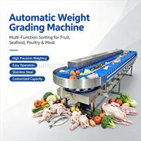 Multifunctionele automatische sorteermachine SUS304 voor het wegen, sorteren en graderen van garnalen, vis, kip en fruit voor de voedselverwerking