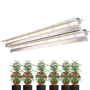 Tube lumineux intégré MEIJIU pour la croissance des plantes, design T8, <span class=keywords><strong>lampe</strong></span> <span class=keywords><strong>de</strong></span> <span class=keywords><strong>culture</strong></span> pour <span class=keywords><strong>semis</strong></span>, lumière LED supplémentaire pour légumes à feuilles - Product Image 3