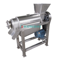 Machine Vruchtensap Professionele/Wortel Sap Making Machine