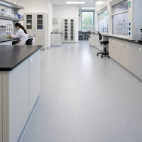 Homogener PVC-Vinylbodenbelag in Rollenform, Nicht-Direktional, Pflegeleicht, Kommerzieller Bodenbelag für Krankenhäuser, Schulen und Kliniken