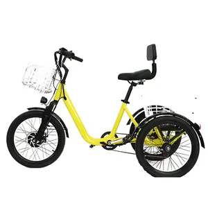 Schnelle Versand fabrik direkt Verkauf Elektro fahrrad Dreirad/Elektro Dreiräder Dreirad/Dreirad Elektro hohe Qualität