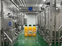 Industriële op maat gemaakte fruitverwerkingslijn voor mango en appel, pulpproductiefabriek, ISO-gecertificeerd, betrouwbare en stabiele prestaties