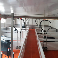 Jaula de Destete para Lechones Galvanizada de Primera Calidad, Equipo para Granjas Porcinas, Diseño de Corrales para Cerdos en Venta