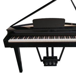 AIERKE Grand 800 profesyonel dik dijital piyano 88-Key ağırlıklı klavye çift dokunmatik dinamik akustik sistemi 128 sesler - Product Image 4