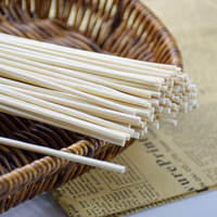 Bâton en fibre synthétique colorée de taille personnalisée Bâtons de diffuseur en rotin roseau en fibre noire Bâtonnets de parfum d'arôme Bâtonnets de parfum