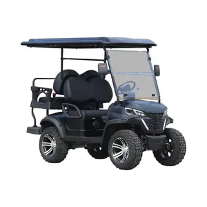 WELIFTRICH cheap price 5KW AC motor 2 seater 4 seater mini battery operated electric golf cart