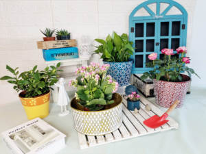 Pot de fleurs en fer et métal style campagnard américain, décoration de jardin, relief de pots anciens, poterie rouge, seau - Product Image 2