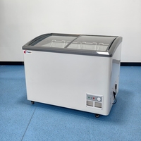 Congélateur coffre de présentation de crèmes glacées à technologie de refroidissement avancée, porte vitrée anti-poussière, cadre durable, usage commercial