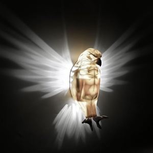Lampe murale LED 3D populaire en forme d'aigle pour chambre d'enfant, design cool, décoration de chambre d'enfant - Product Image 3