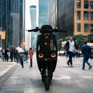 Cina all'ingrosso Scooter a basso prezzo per la consegna di cibo elettrico City Bike vendita caldo di buon prezzo elettrico bici da carico elettrico