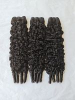 Meilleures Qualités de Cheveux Bruts Cambodgiens en Gros – Extensions de Cheveux Humains 100% Non Traités, Vierges et Alignés dans le Sens de la Cuticule