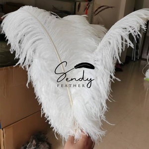 Plumes d'autruche blanches de haute qualité, grandes, de 24 à 26 pouces, pour la décoration de centres de table de carnaval, de festivals, de fêtes et de mariages (vente en gros) - Product Image 4