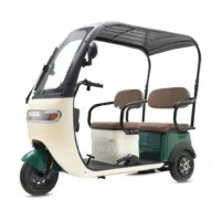 Tricycle pour passagers, tricycle à 3 roues pour adultes, vélo familial