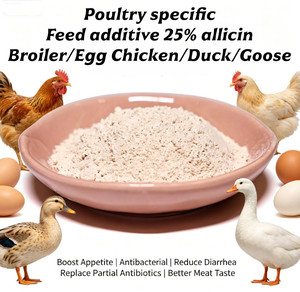 Poudre d'allicine de qualité alimentaire 25 %, extrait naturel d'<span class=keywords><strong>ail</strong></span>, additif améliorant la production d'œufs, promoteur de croissance - Product Image 1