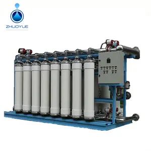 Hollow Fiber Milk Ultrafiltration/Mineral Water Treatment Plant ZYCL