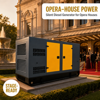 Générateur silencieux 75 dB avec sortie facile, modèle d'exemple disponible, tension automatique et boîtier insonorisé