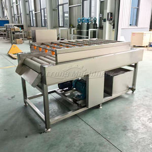 Máquina Industrial para Lavar y Pelar Papas y Jengibre - Product Image 3