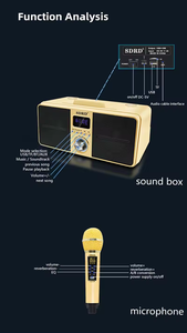 Bán Như Hot Bánh Sd309 Tùy Chỉnh 2023 Chất Lượng Cao Sub Woofer Máy Tính Để Bàn Bt Với Không Dây Microphone SDCD Loa Karaoke - Product Image 5