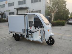 Triciclo refrigerado Triciclo eléctrico Sistema dual refrigerado eléctrico Rango de temperatura de tres ruedas controlable - Product Image 3