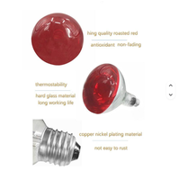 Lampes chauffantes de couleur rouge torréfiée E27 250w pour la restauration, le buffet, le maintien au chaud des aliments