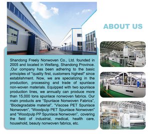 Spunlaced-rollos de tela no tejida, rollo de viscosa 100% Biodegradable ecológico, personalizado, 50gsm - Product Image 6