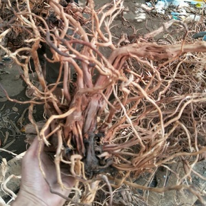 De nombreuses branches en rotin, bois <span class=keywords><strong>naturel</strong></span>, bois flotté, <span class=keywords><strong>aquarium</strong></span>, réservoir à poissons, plante d'<span class=keywords><strong>aquarium</strong></span> pour la décoration - Product Image 3