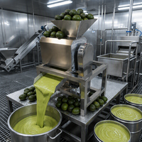 Fruitpulper, machine voor het maken van avocadopasta, motor met hoge productiviteit, mango- en passievruchtenpuree-extractor, roestvrij staal