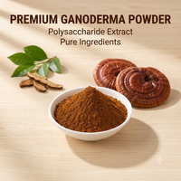 Extrait de Ganoderma Lucidum en vrac, 30% de polysaccharides, champignon Reishi, fournisseur OEM