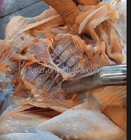 Extractor de Pulmones de Aves de Corral de Acero Inoxidable, Máquina de Procesamiento de Tripas para Mataderos