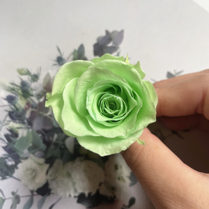 Vente chaude préservée vraie tête de Rose pour bricolage pour toujours boîte à fleurs Rose éternelle - Product Image 6