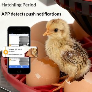 新しいミニホームリモートビジュアル自動卵インキュベータースマート卵回転温度と湿度制御鳩インキュベーター110V/220V - Product Image 3