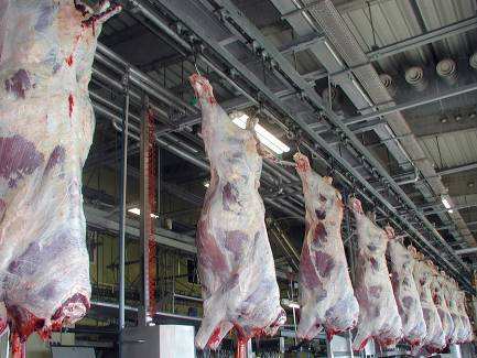 Meat Hanging Rail System for Butcher Cold Room - Stainless Steel, Ideal ...