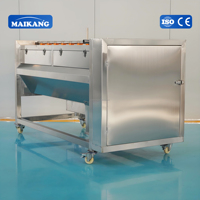 Aardappel Cassave Wortel Ui Schilmes Industriële Borstelrol Wortelgroente Zeevruchten Reinigingsapparatuur Hoge 304 Schilmachine