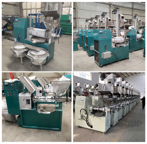 เครื่องทำน้ำมันปรุงอาหาร 75 กิโลกรัมต่อชั่วโมง เครื่องสกัดน้ำมันแบบกดเย็นและกดร้อน เครื่องกดน้ำมันสำหรับถั่วลิสง - Product Image 4