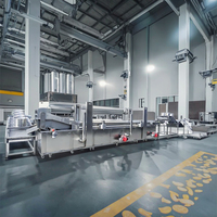 MINGFAN Volledig Automatische Aardappelchips Productielijn Machines met een capaciteit van 100-3000 kg/uur, aanpasbare spanning en afmetingen