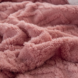 Vente en gros de couvertures en taffel chaud épaissi d'automne et d'hiver velours de lait épaissi couverture polaire de loisirs tridimensionnelle double - Product Image 5