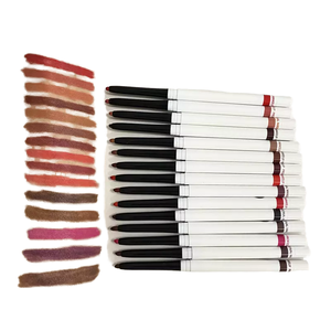 MLM Customizable Push Up <b>Lipstick</b> Pen Private Label Glossy Matte Finish Nourishing Long Lasting Lip Makeup Push up <b>lipstick</b> pen - Product Image 1