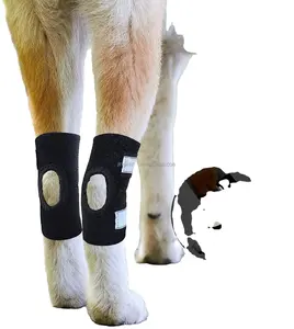 ACL pequeno cão joelheira ortocanis apoio joelho cinta perna envolve para cães joelheira para cães com ACL rasgado