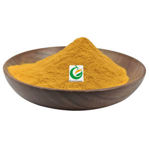 Polvo de extracto de té verde Fruiterco Polvo de té verde instantáneo soluble en agua - Product Image 1