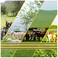 Cinta de Polietileno para Cercas Eléctricas de Gran Potencia con Conductores de Acero Inoxidable Resistentes para Cercas de Ganado y Caballos