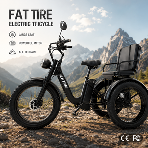 <span class=keywords><strong>Tricycle</strong></span> <span class=keywords><strong>électrique</strong></span> à gros pneus pour adultes, moteur 250W, <span class=keywords><strong>tout</strong></span>-<span class=keywords><strong>terrain</strong></span>, certifié CE FCC, fabrication OEM ODM - Product Image 1