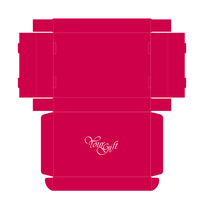 Boîte d'expédition haut de gamme en forme d'avion, personnalisée rose, avec pelliculage mat, en papier kraft recyclé, pour petites séries de vêtements