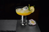 Verres à Margarita en Gros, Épais, en Cristal Transparent Solide, Sans Pied, pour Bar, Hôtel, Restaurant
