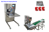 Machine de remplissage Bag-in-Box AK-BIB / Machine de remplissage et de bouchage BIB