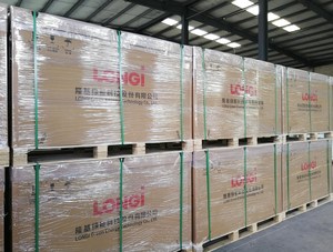 Offre Spéciale – Panneaux Solaires Monocristallins JA Longi Grade A 440W 445W 450W 455W 460W 465W 470 Watts Bifaciaux PERC - Product Image 4