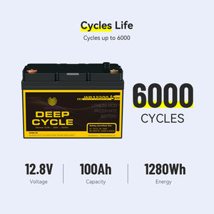 고성능 납산 교체 리튬 배터리 WR12100 WR3660 <span class=keywords><strong>12V</strong></span> 100Ah 200Ah 300Ah LiFePO4 RV 해양 용 배터리 팩