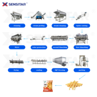 Industriële Elektrische 500 Kg/u Compleet Bevroren Frietproductielijn Automatische Grote Output Aardappel Frietmachine