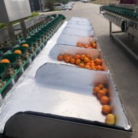 Kehong Automatische Dozen Sorteermachine Precisie Gewichtsweegschaal Houten Kist Verpakt voor Wereldwijde Kopers van Voedselverwerking